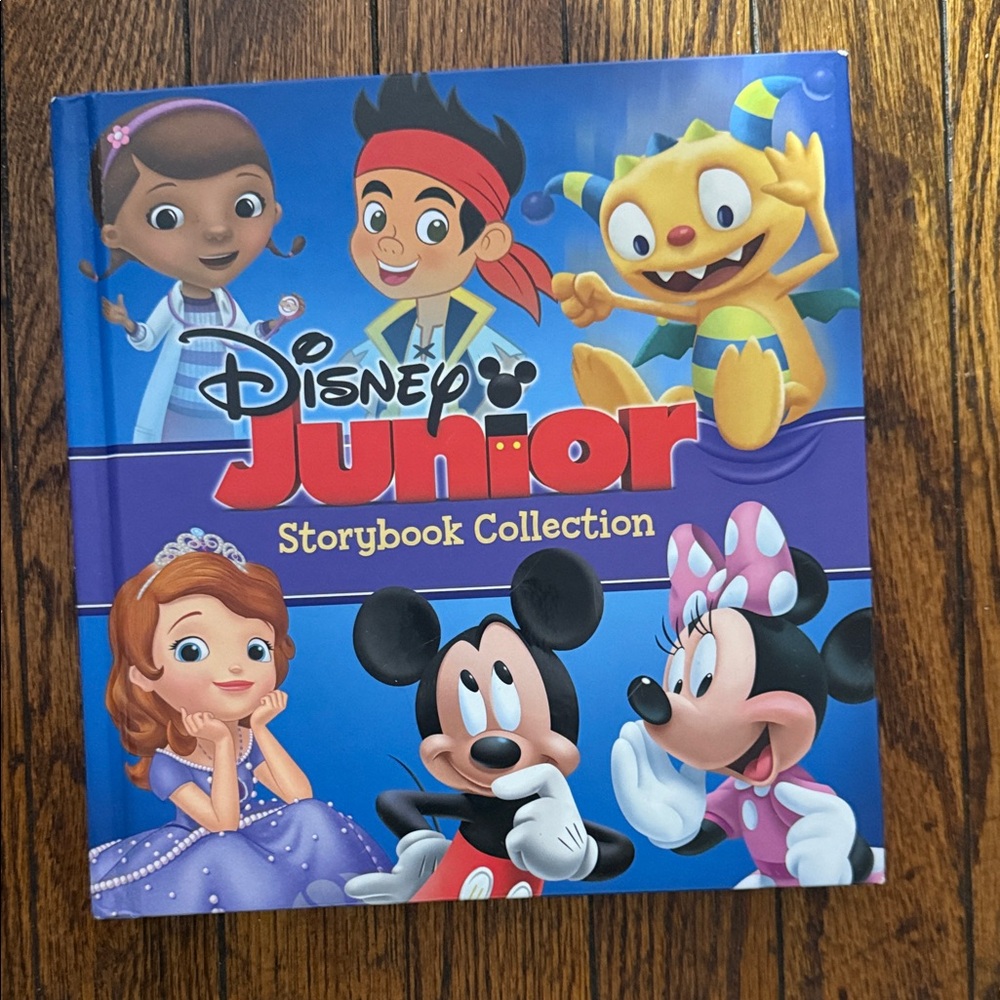 Disney Junior Storybook with Vibrant Characters